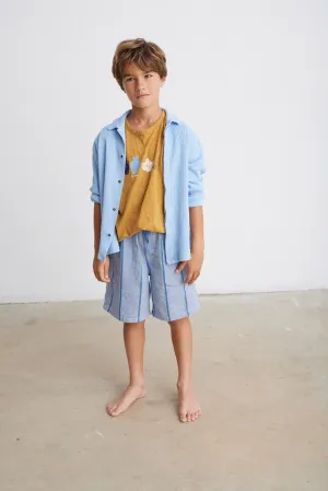 Denim stripe Bermuda shorts
