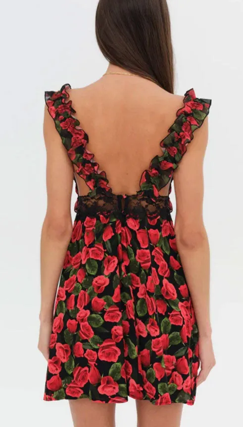 Varvera Mini Dress | For Love and Lemons