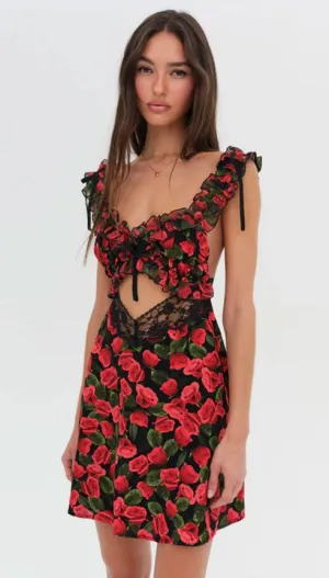 Varvera Mini Dress | For Love and Lemons