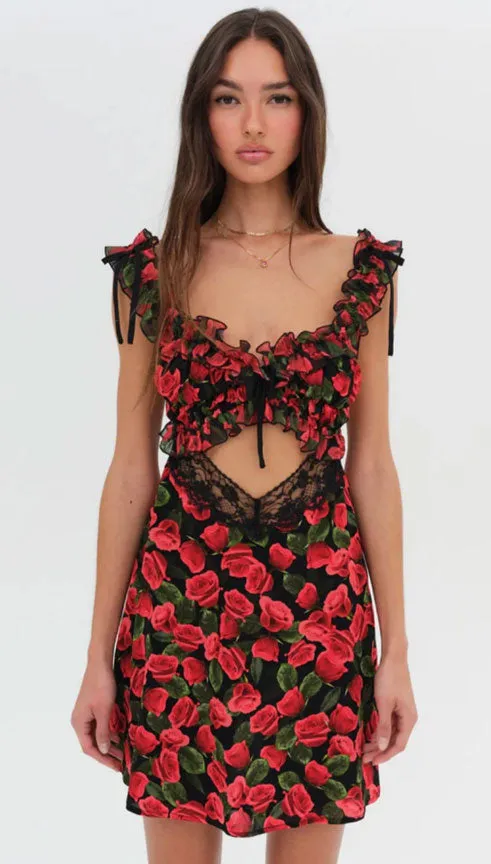 Varvera Mini Dress | For Love and Lemons